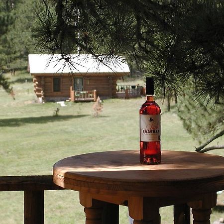Renegade Log Cabin Custer Exterior foto
